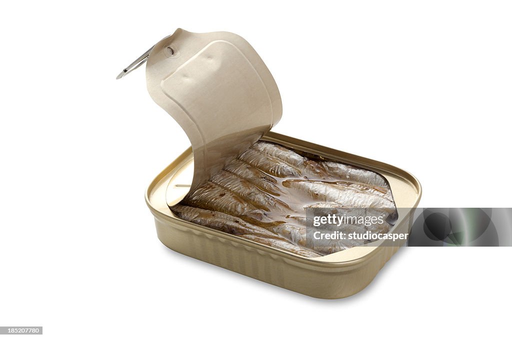 Sardines