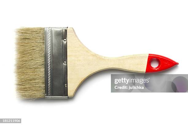 pincel - cerda-pelo-de-animal fotografías e imágenes de stock