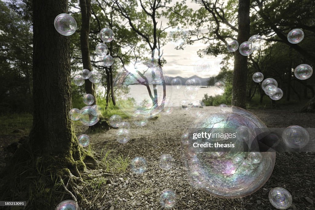 Soap Bubbles In A Forest