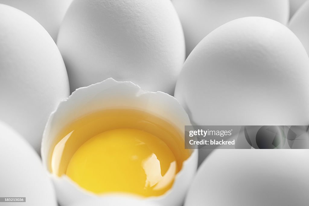 Isolated Color Egg Yolk