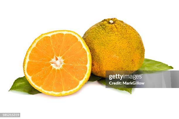 ugli fruit - ugli stock pictures, royalty-free photos & images