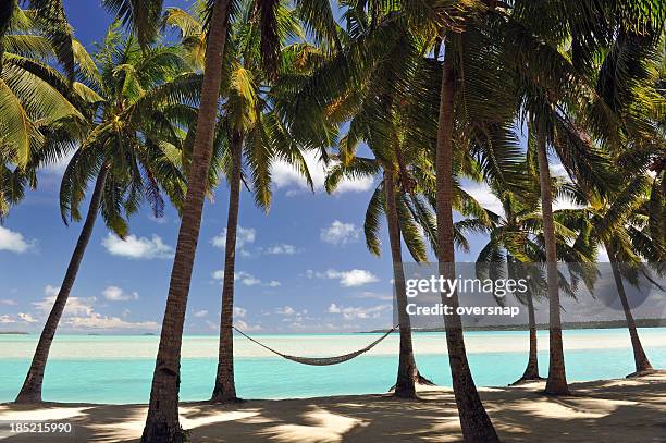 pacific island hammock - aitutaki bildbanksfoton och bilder