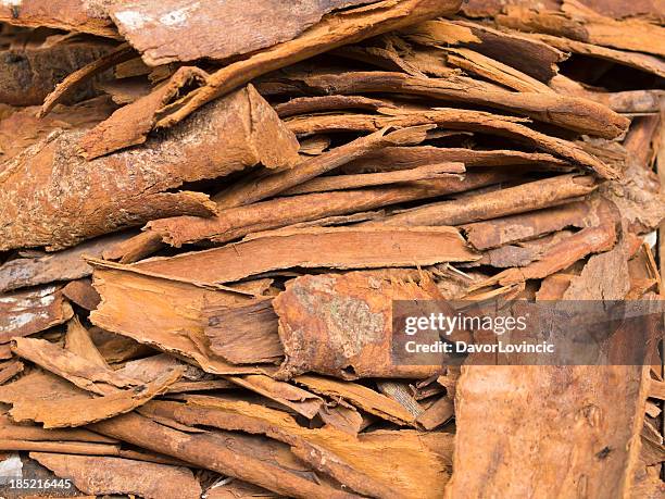 canela - canela imagens e fotografias de stock