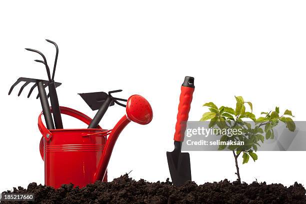 gardening equipmnets in watering can on dirt, white background - troffel stockfoto's en -beelden