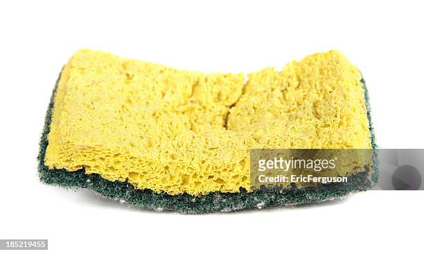 used sponge isolated on white - cleaning sponge stock pictures, royalty-free photos & images