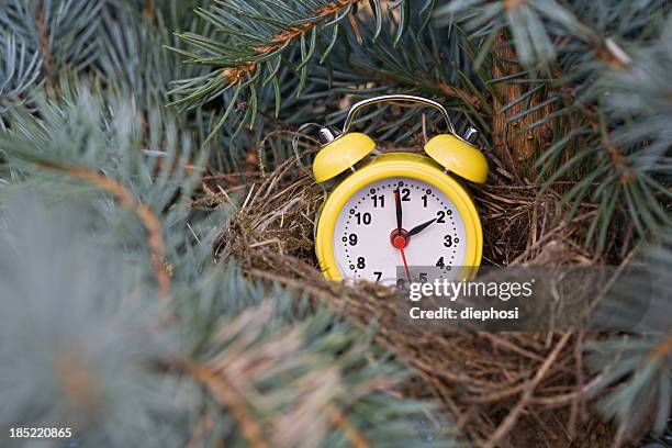 caldo de temporada - spring forward fotografías e imágenes de stock