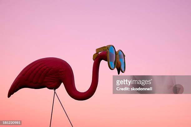 kunststoff pink flamingo auf einer wiese bei sonnenuntergang - flamingos stock-fotos und bilder