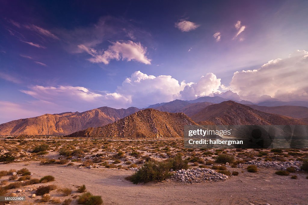 Dramatic Palm Springs Landscape