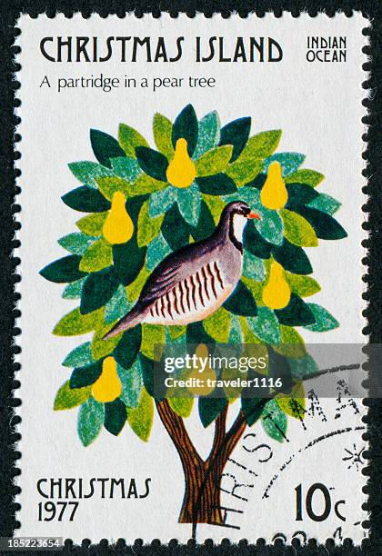 partridge in a pear tree stamp - pear tree stock pictures, royalty-free photos & images