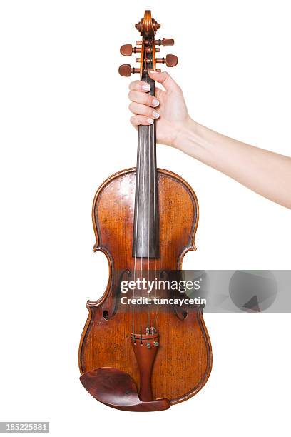 violine - streicherbogen stock-fotos und bilder