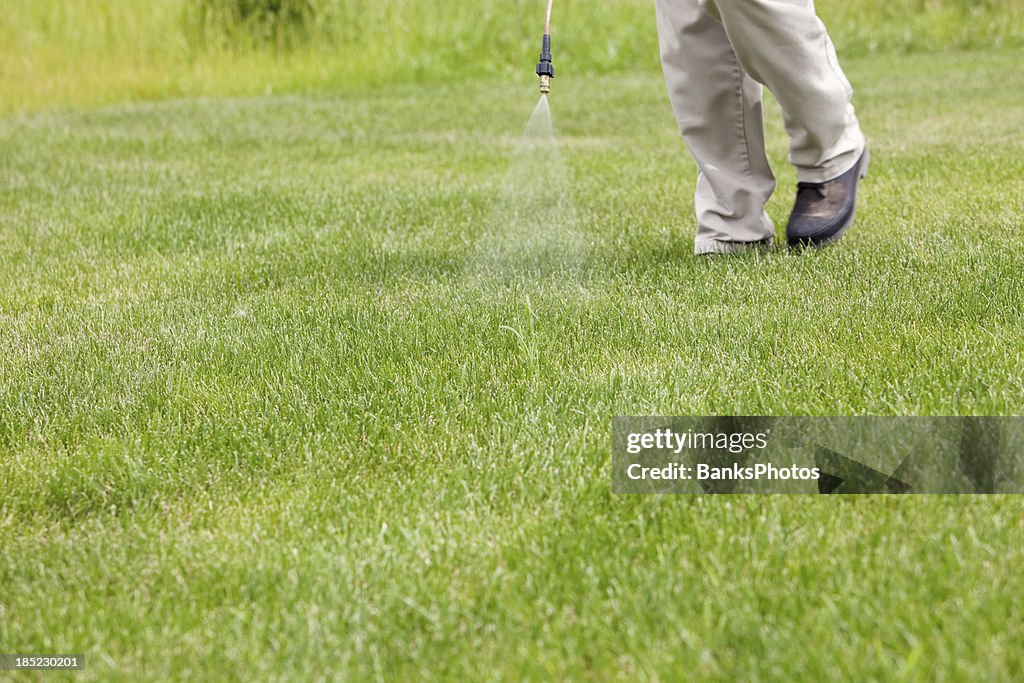 Lawn Care Worker Sprays Crabgrass