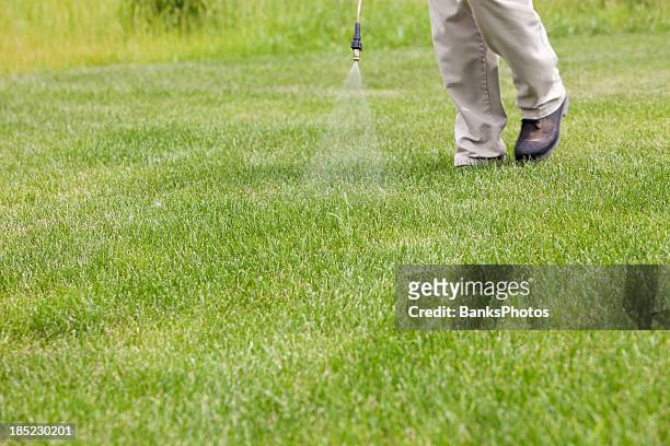 lawn care worker sprays crabgrass - spraying weeds stock pictures, royalty-free photos & images