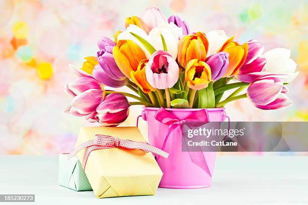 blumen und geschenke zum muttertag oder geburtstagsfeiern - tulips cat stock-fotos und bilder