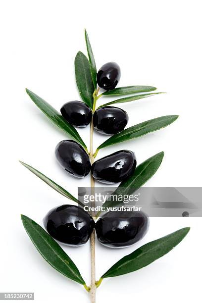 olive nere con ramo di albero e foglie forma - ramo di ulivo foto e immagini stock