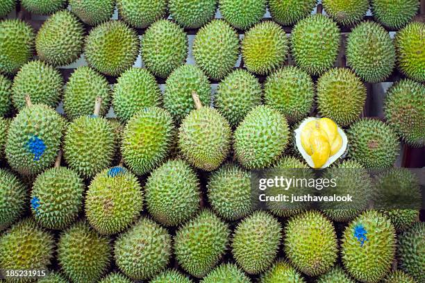 singaporean king of fruits durian - durian stock pictures, royalty-free photos & images