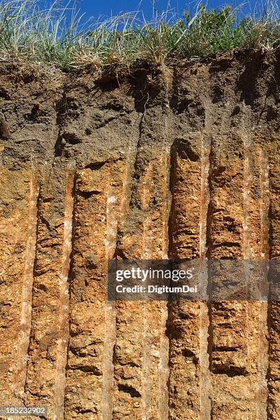 sección transversal de excavated tierra - capas del suelo fotografías e imágenes de stock