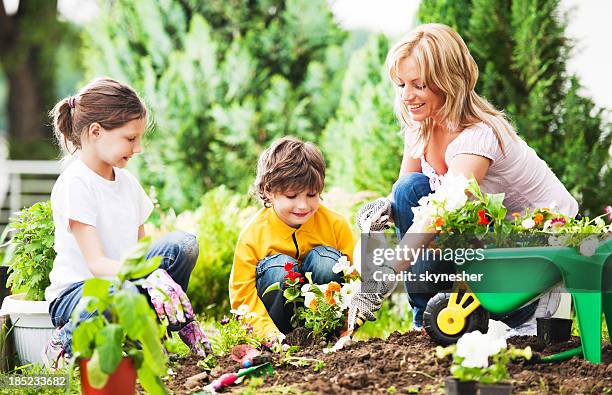 mother, daughter and son planting flowers together - tuinhandschoen stockfoto's en -beelden