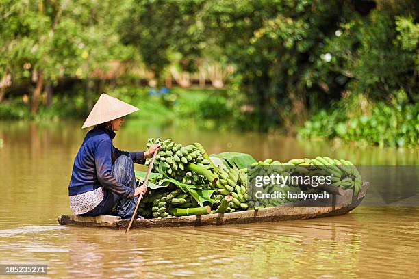 vietnamese woman rowing  boat in the mekong river delta, vietnam - can tho bildbanksfoton och bilder