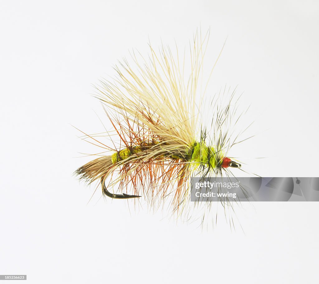 Magnified Dry Fly