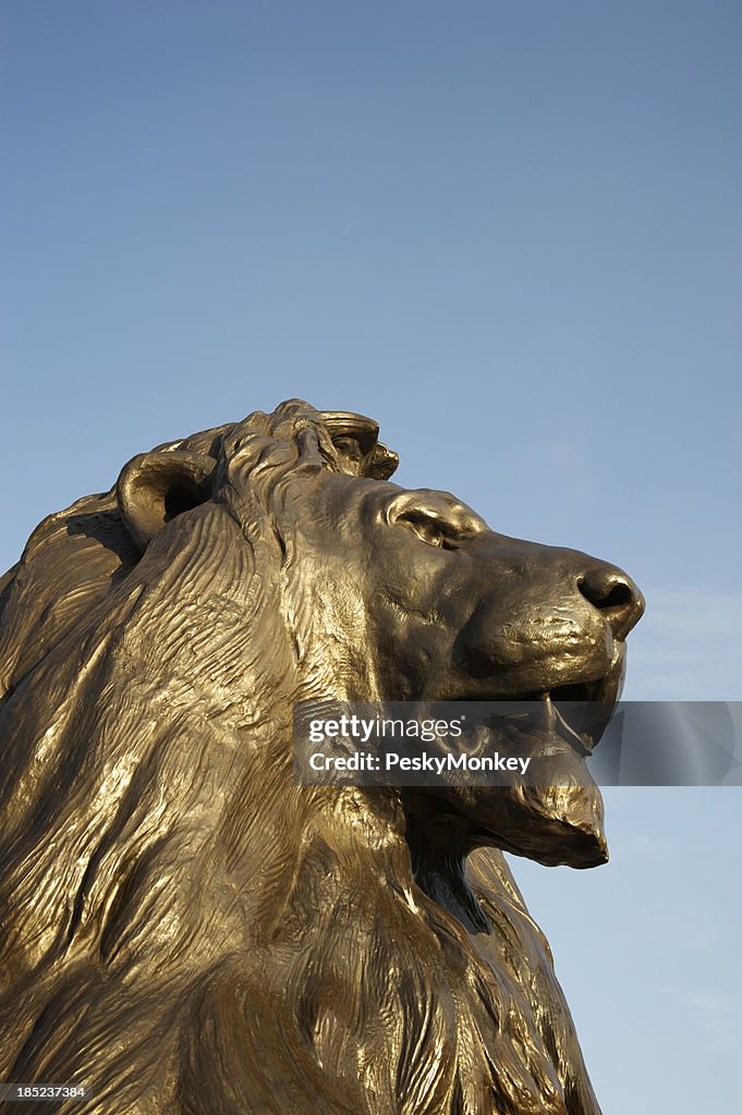 Profile Trafalgar Square Lion London