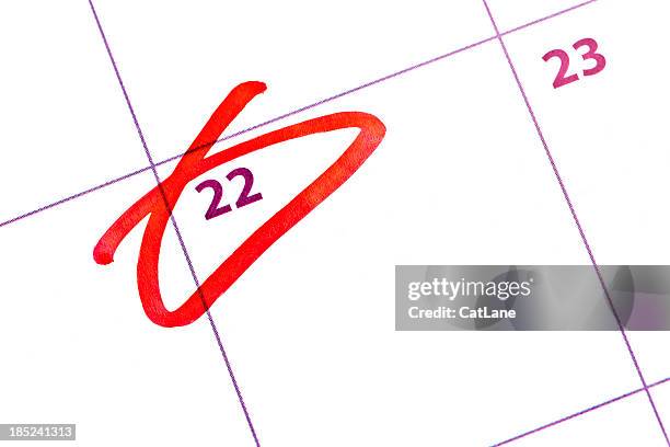 important date reminder - cat circle stock pictures, royalty-free photos & images