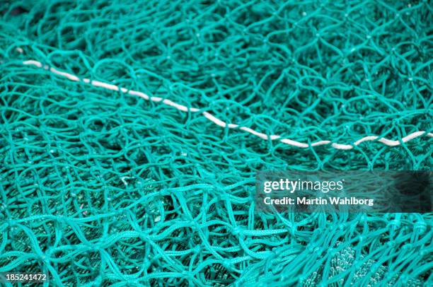 verde rete di pesca - nylon foto e immagini stock