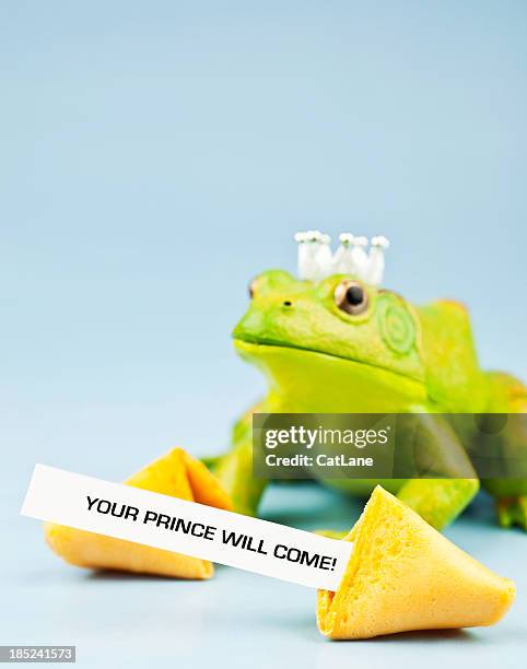 frog prince with fortune cookie message - prince charming stock pictures, royalty-free photos & images