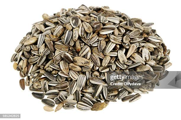 sunflower seeds - bird seed stockfoto's en -beelden