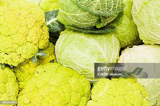 cauliflower and cabbage - cabbage stock pictures, royalty-free photos & images