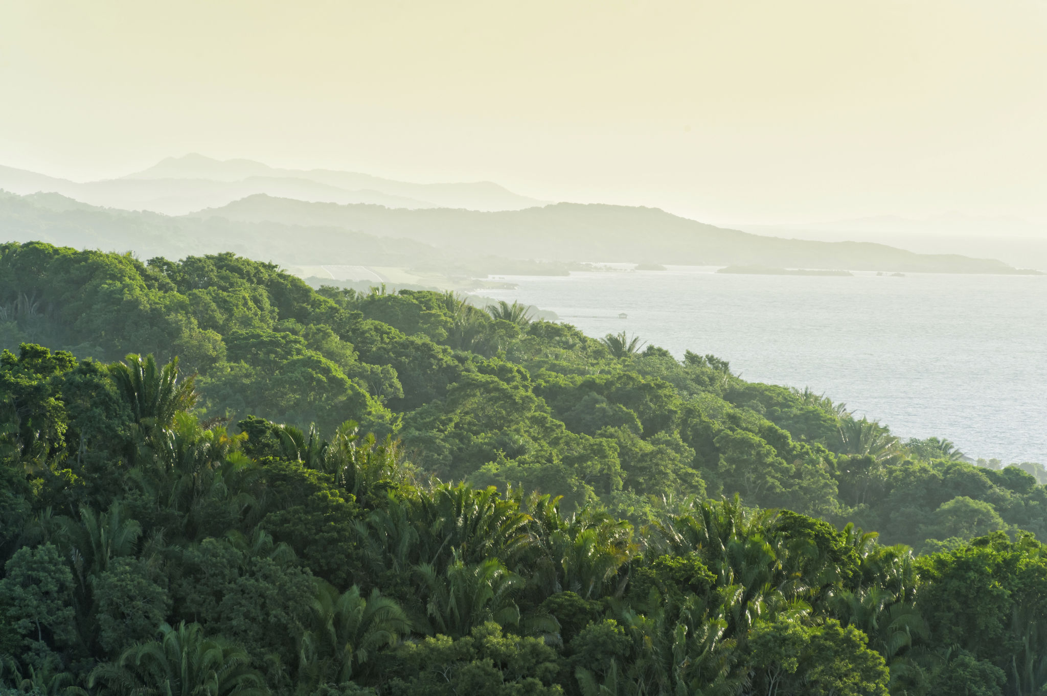 Jungle Meets Ocean Jungle Meets Ocean