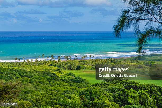barbados east coast - barbados stock-fotos und bilder