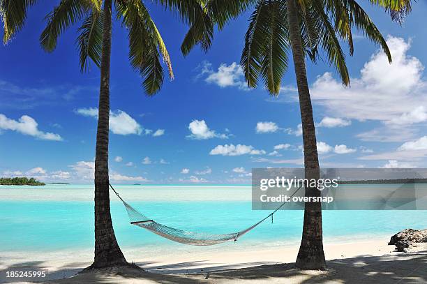 paradise lagoon - beach hammock stock pictures, royalty-free photos & images