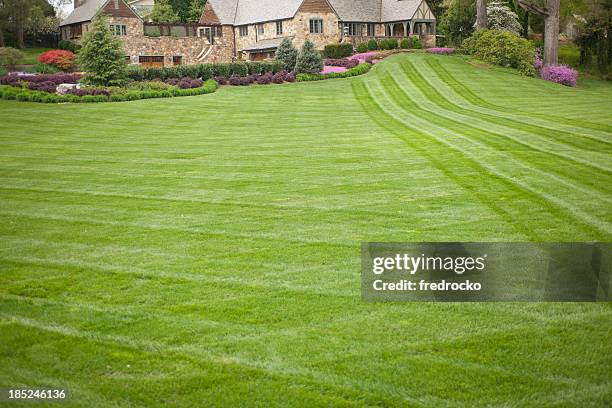 luxury home or house with large front yard - cutting grass stock pictures, royalty-free photos & images