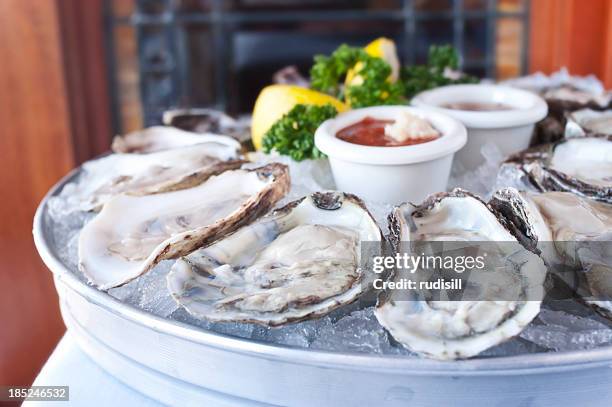oysters half shell - ostron bildbanksfoton och bilder
