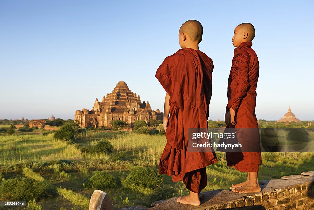 Young Buddhist monk