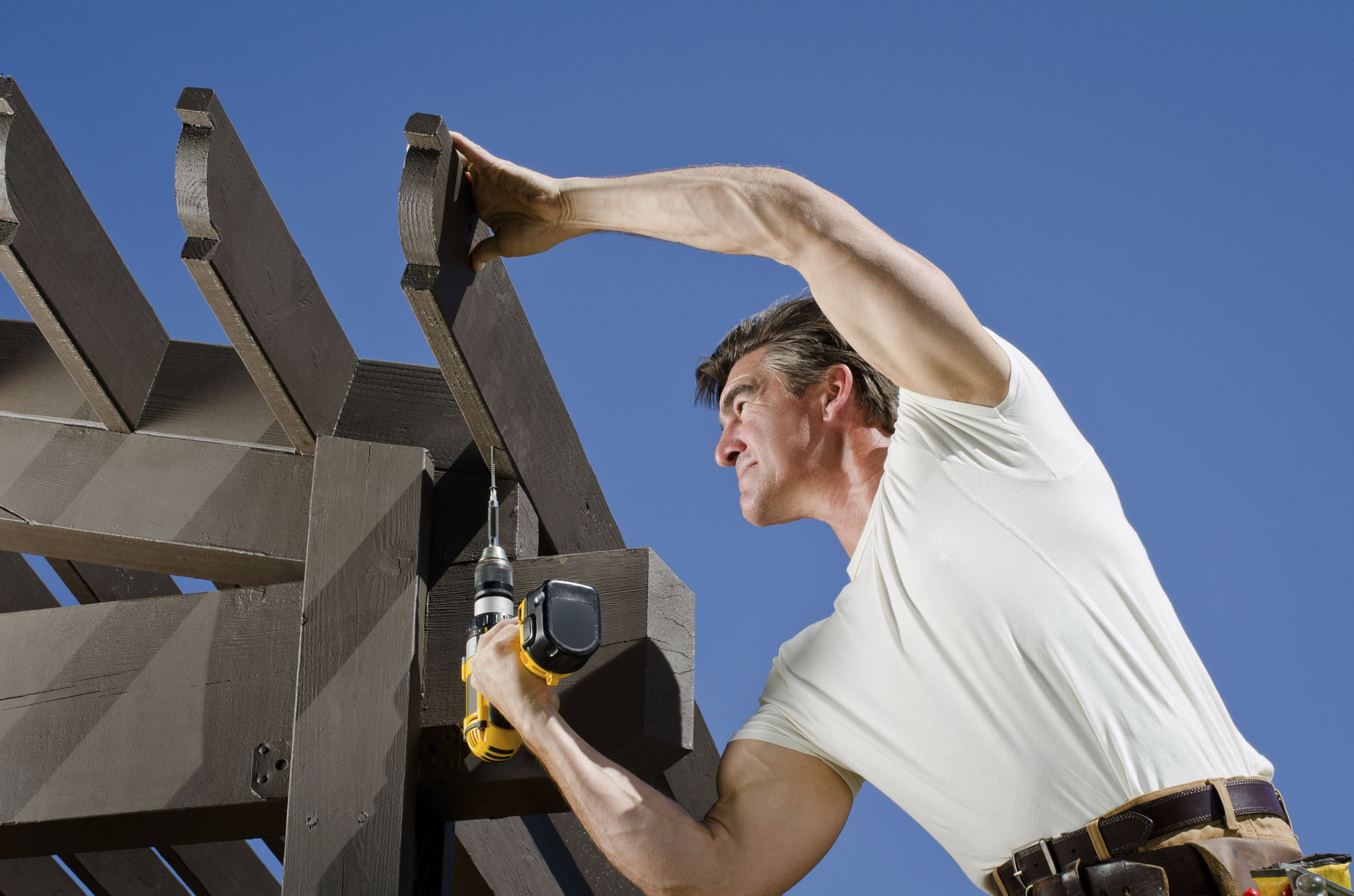 pergola maintenance