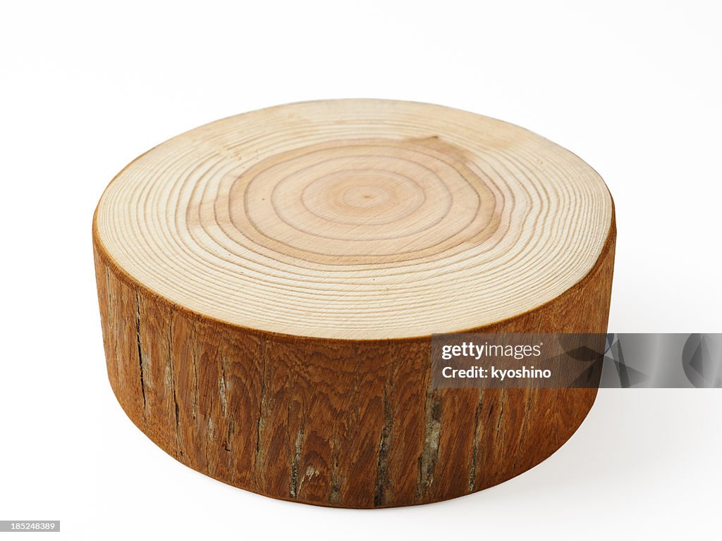 Isolated shot of tree cross section on white background