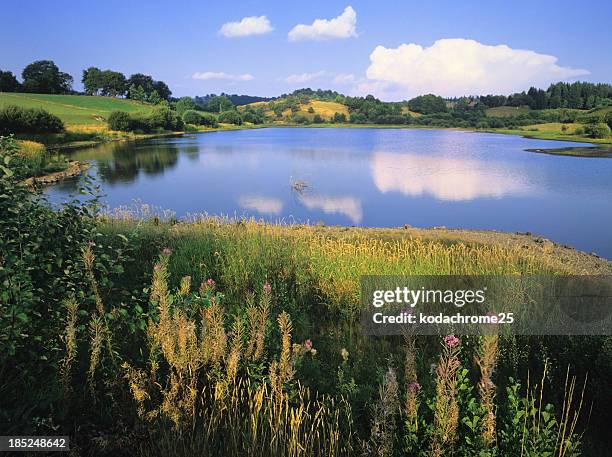 auvergne - massif central stock pictures, royalty-free photos & images
