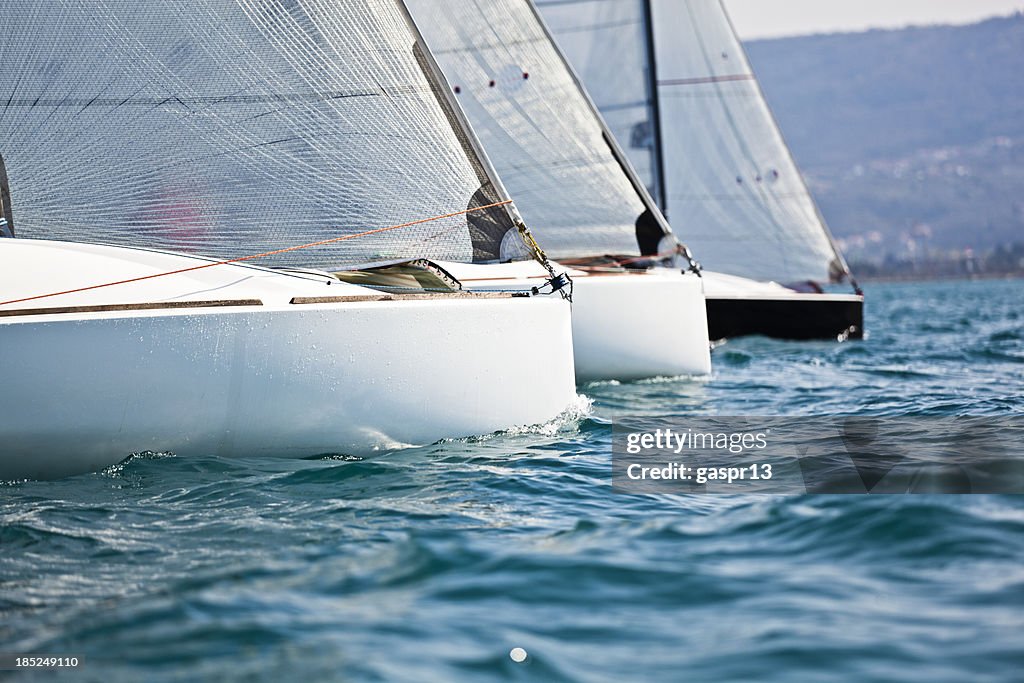 Regatta