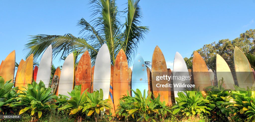 Surfboard fence lit by sunrise