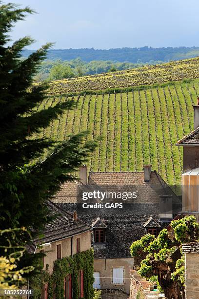 vineyards on the hills of burgundy - beaune stock pictures, royalty-free photos & images