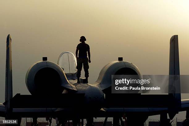 An A-10 Warthog mechanic performs routine after flight maintenance checks at an airbase March 16, 2003 in the Arabian Gulf near the Iraq border. From...