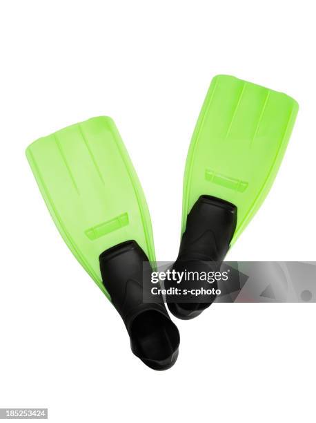 flippers (click for more) - snorkel white background stock pictures, royalty-free photos & images