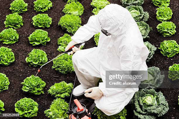 spraying field - voedselveiligheid stockfoto's en -beelden