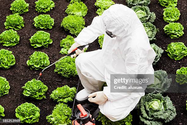 spraying field - white jumpsuit stock pictures, royalty-free photos & images