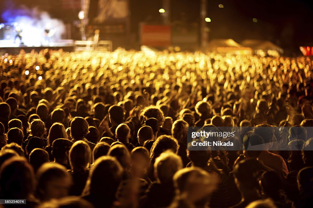 Cheering Concert Crowd