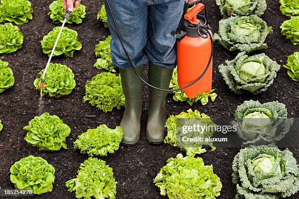 spraying crops - sproeier stockfoto's en -beelden