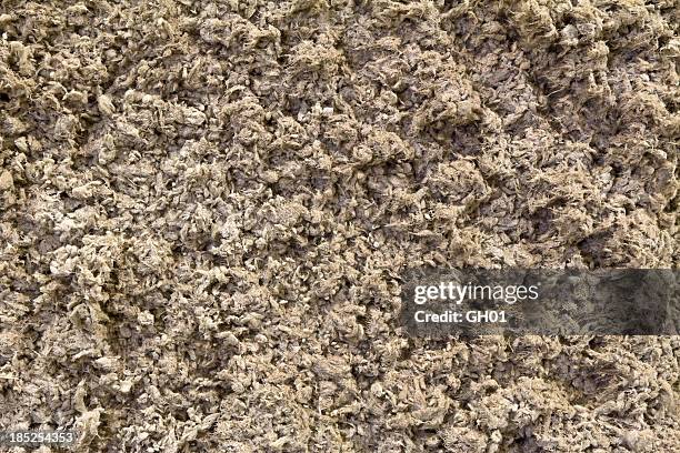 spray fireproofing on a steel column - brandsäkra bildbanksfoton och bilder