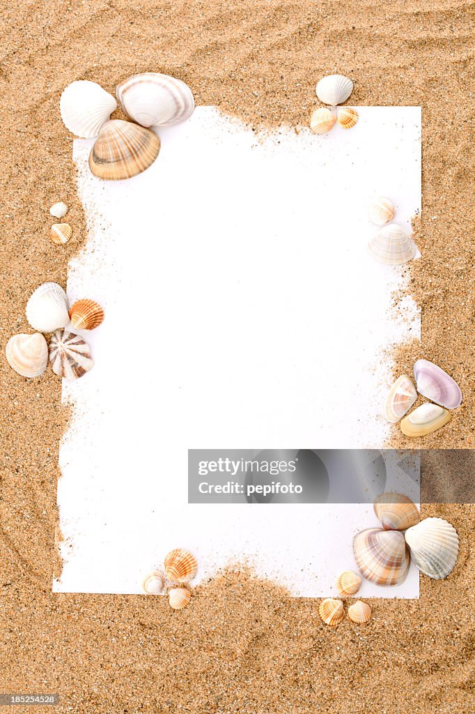 Summer beach concept