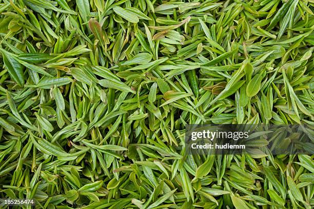 fondo de hojas de té recién - hojas de té secas fotografías e imágenes de stock